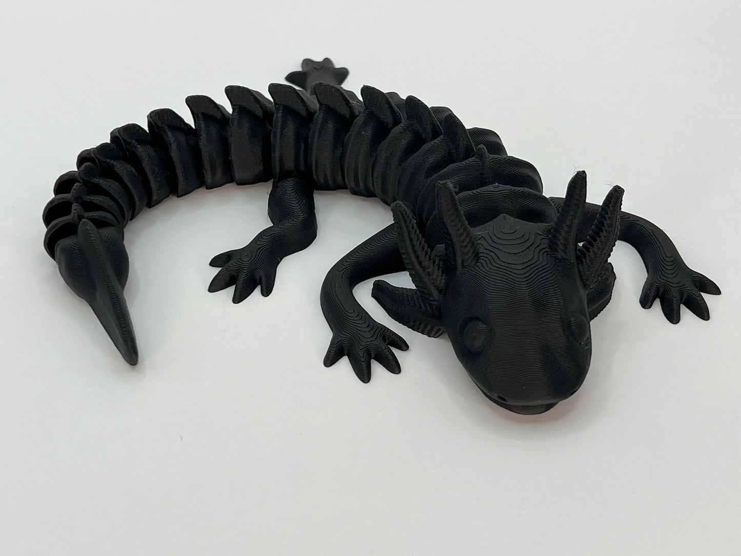 Axolotl