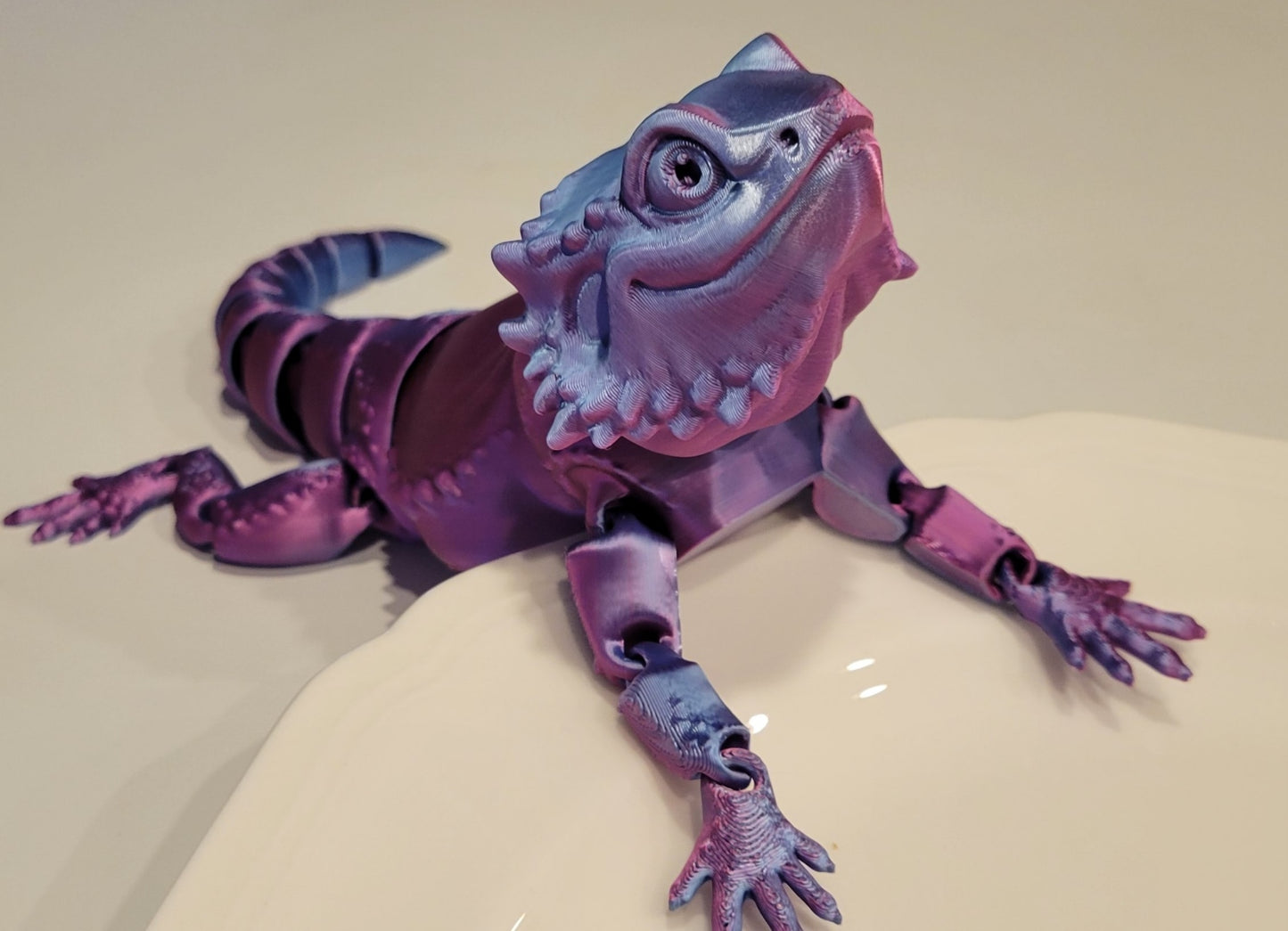 Bearded Dragon